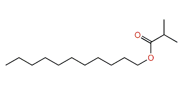 Undecyl isobutyrate